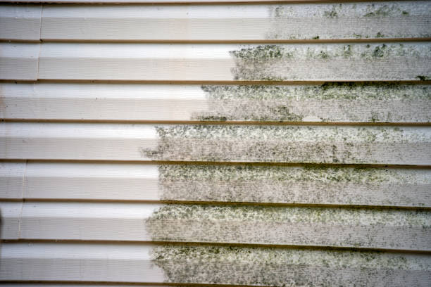 Same-Day Junk Removal Services in Sugar Creek, MO
